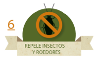 Repele insectos y roedores